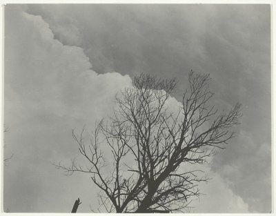Træsæt 3 af Alfred Stieglitz