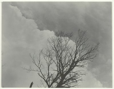Træsæt 3, ca. 1924. af Alfred Stieglitz