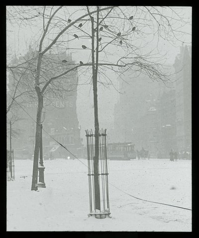 Træ i sne, New York City af Alfred Stieglitz