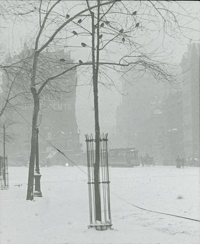 Træ i Snow, New York City, 190002. af Alfred Stieglitz