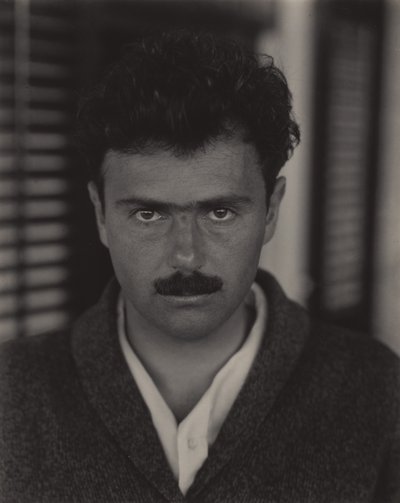 Waldo Frank af Alfred Stieglitz