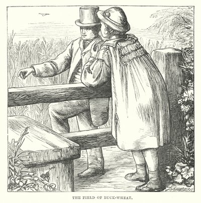 H.C. Andersen: Boghveden (litografi) af Alfred Walter (after) Bayes