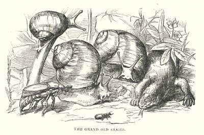 H.C. Andersen: Den lykkelige familie (litografi) af Alfred Walter (after) Bayes