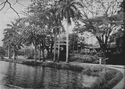 Kandy - Et malerisk hjørne af søen, c1890, 1910 af Alfred William Amandus Plate