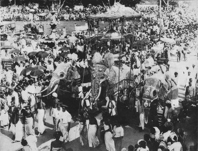 Hellig elefant i Perahera-processionen, Kandy, Ceylon, c1890, 1910 af Alfred William Amandus Plate