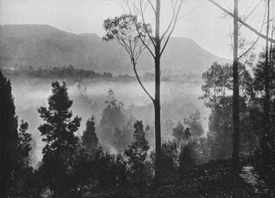 The Early Morning Mist Rising at Nuwara Eliya, c1890, 1910 af Alfred William Amandus Plate