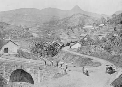 Udsigt over Maskeliya, der viser Adams Peak, c1890, 1910 af Alfred William Amandus Plate