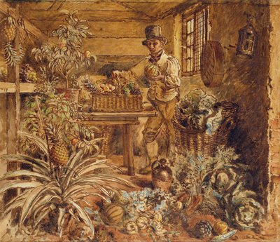 En gartner i et potteskur med ananas og forskellige grøntsager (pen, blæk og wc på papir) af Alfred William Hunt