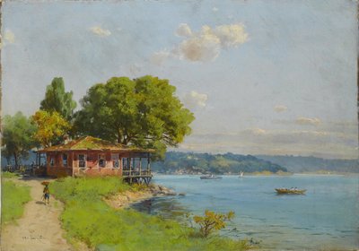 Istanbul af Ali Riza Hoca