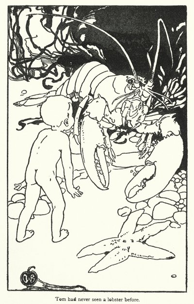 Illustration til The Water-Babies af Charles Kingsley (litografi) af Alice Bolingbroke (after) Woodward