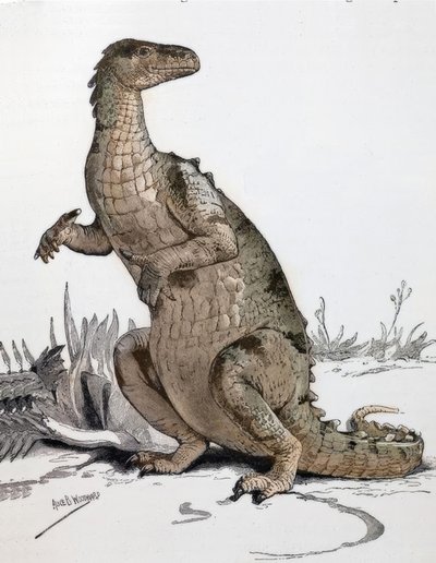 Iguanodon af Alice Bolingbroke Woodward