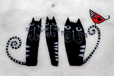 3 katte fra Krakow, 2019 (fotografi) af Alice Gur-Arie