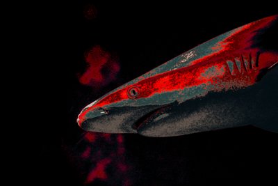 Bait, 2018 (håndmalet fotografi) af Alice Gur-Arie