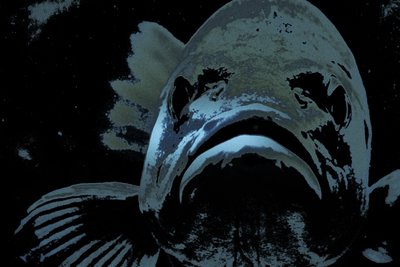 Bully, 2018 (håndmalet fotografi) af Alice Gur-Arie