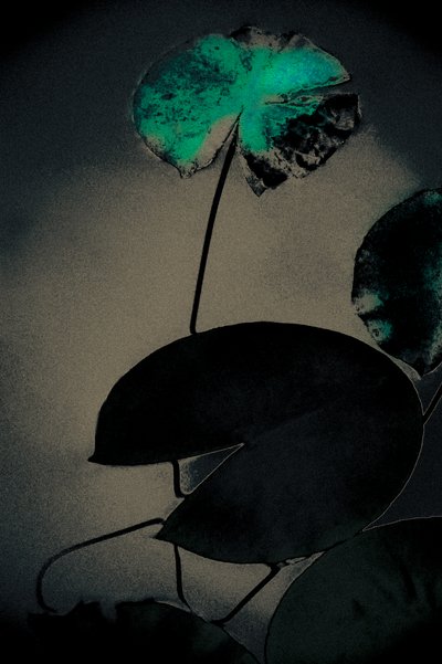 Emerald Spring, fra serien Spring, 2020 (håndmalet fotografi) af Alice Gur-Arie