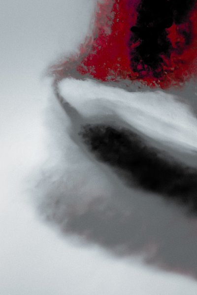 Mission, fra serien Missionary, 2019 (fotografi) af Alice Gur-Arie