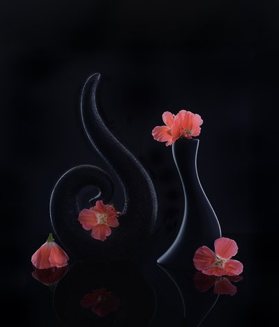  af Alice Sheng