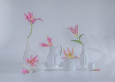  af Alice Sheng