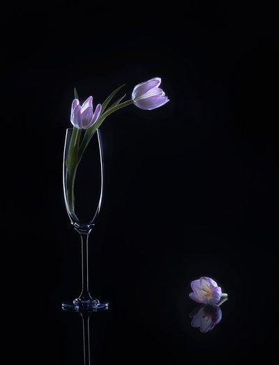  af Alice Sheng