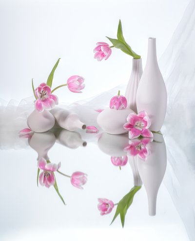  af Alice Sheng