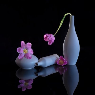  af Alice Sheng