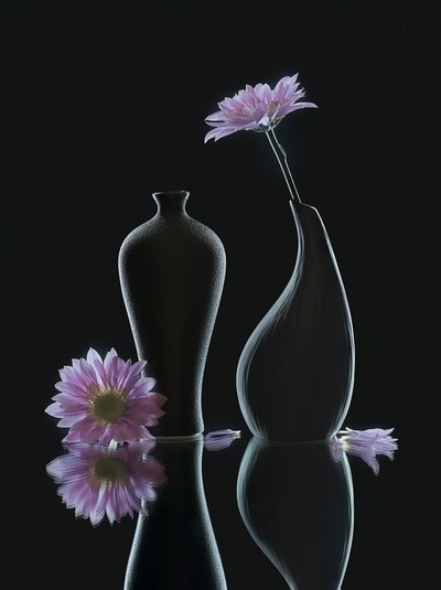  af Alice Sheng