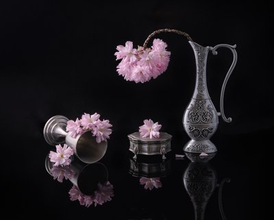  af Alice Sheng