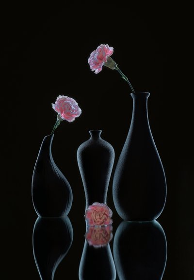  af Alice Sheng