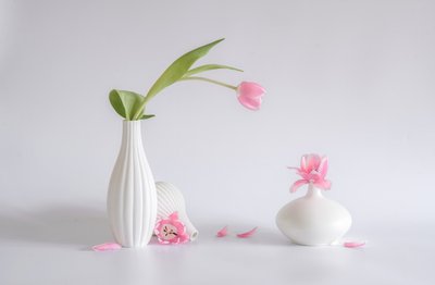  af Alice Sheng