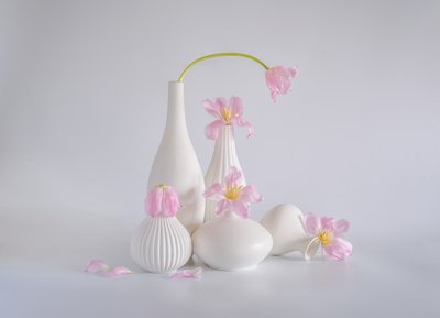  af Alice Sheng