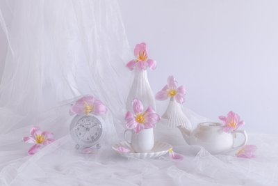  af Alice Sheng