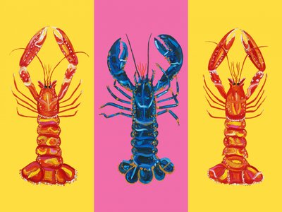 Hummer og jomfruhummer Pop Art 2 af Alice Straker