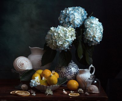  af Alina Lankina