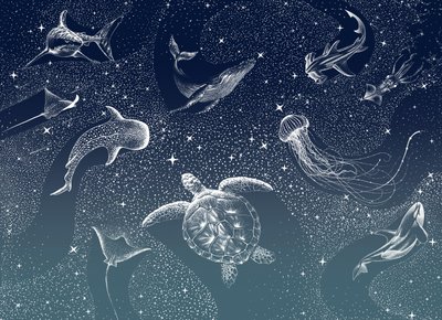 Himmelske havdyr af Alirıza ÇAKIR