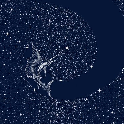 Himmelssejlfisk af Alirıza ÇAKIR