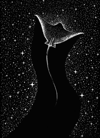 Kosmisk mantarokke af Alirıza ÇAKIR