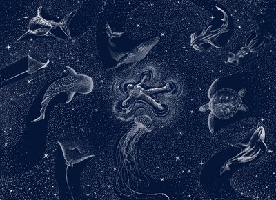 Kosmisk havdrøm af Alirıza ÇAKIR