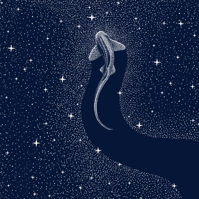 Kosmisk haj af Alirıza ÇAKIR