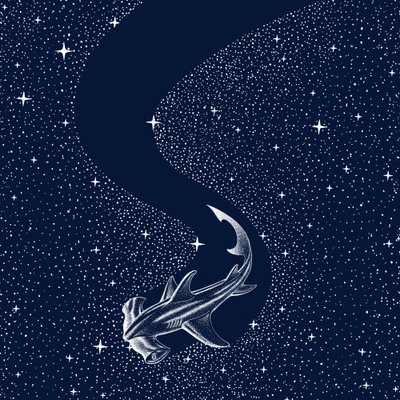 Stjernehammerhaj af Alirıza ÇAKIR