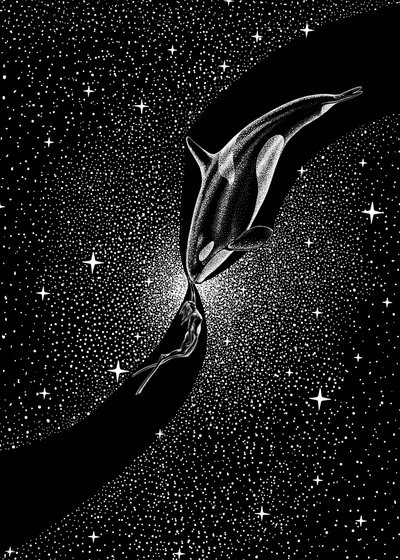 Stjernehvalens omfavnelse af Alirıza ÇAKIR