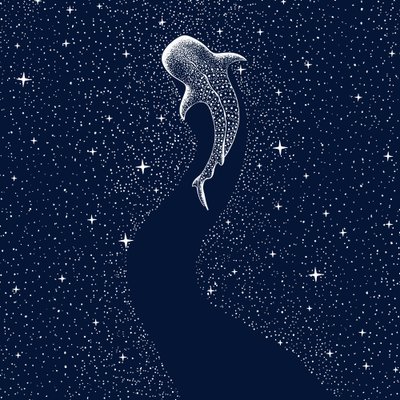 Stjernehvalhaj af Alirıza ÇAKIR