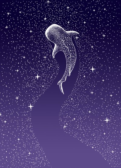 Svømning blandt hvalhajer i Galaxien af Alirıza ÇAKIR