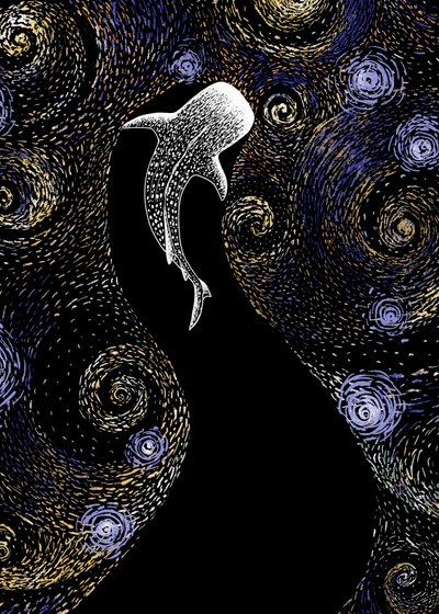 Hvalhajens stjerneklare nat af Alirıza ÇAKIR