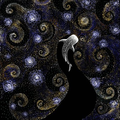 Hvalhajens stjerneklare nat af Alirıza ÇAKIR