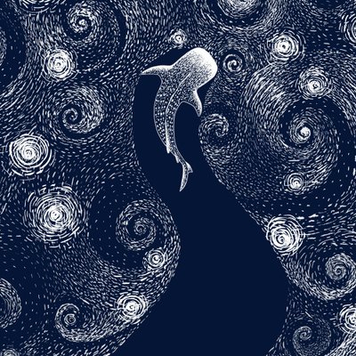 Hvalhajen i det stjerneklare hav af Alirıza ÇAKIR