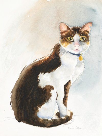 Dave the Saudi Cat, 2019 (akvarel) af Alison Cooper