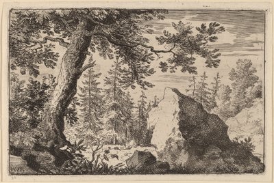 Boulder i skoven af Allart van Everdingen