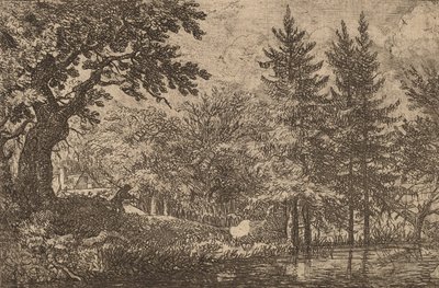 Grantræer ved vandet, sandsynligvis ca. 16451656. af Allart van Everdingen
