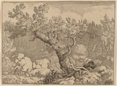 Sportsmand nær et stort træ, sandsynligvis ca. 16451656. af Allart van Everdingen