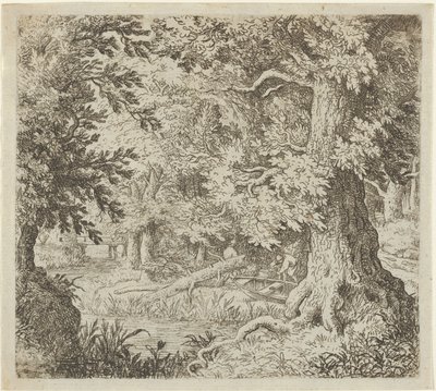 Bækken i skoven, 1600-tallet. af Allart van Everdingen